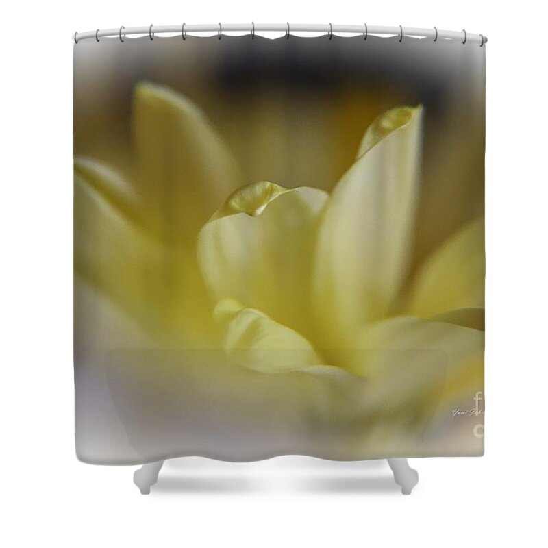 Flowers Shower Curtain featuring the photograph Soft Yellow by Yumi Johnson