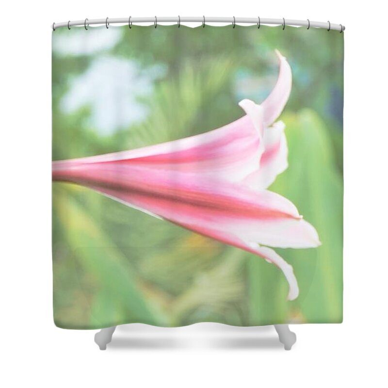 Flowers Shower Curtain featuring the photograph Softly colored by Merle Grenz