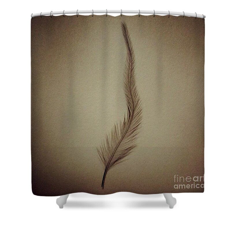 Feather Shower Curtain featuring the photograph Softly by Denise Railey