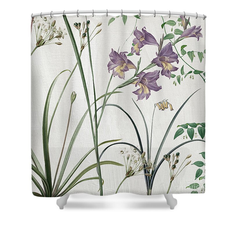 Purple Crocus Shower Curtain featuring the painting Softly Purple Crocus by Mindy Sommers