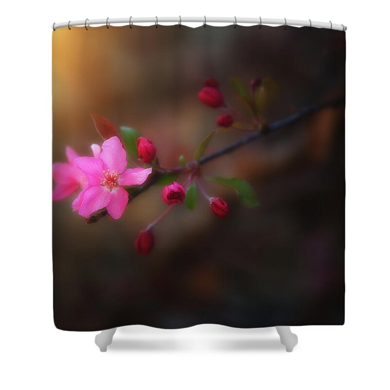 Flowers Shower Curtain featuring the photograph Softness of Spring by Darren White