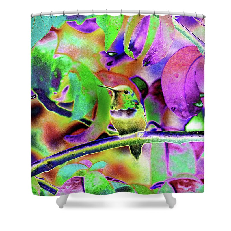 Hummingbirds Shower Curtain featuring the photograph Solarized Hummer by Wendy McKennon