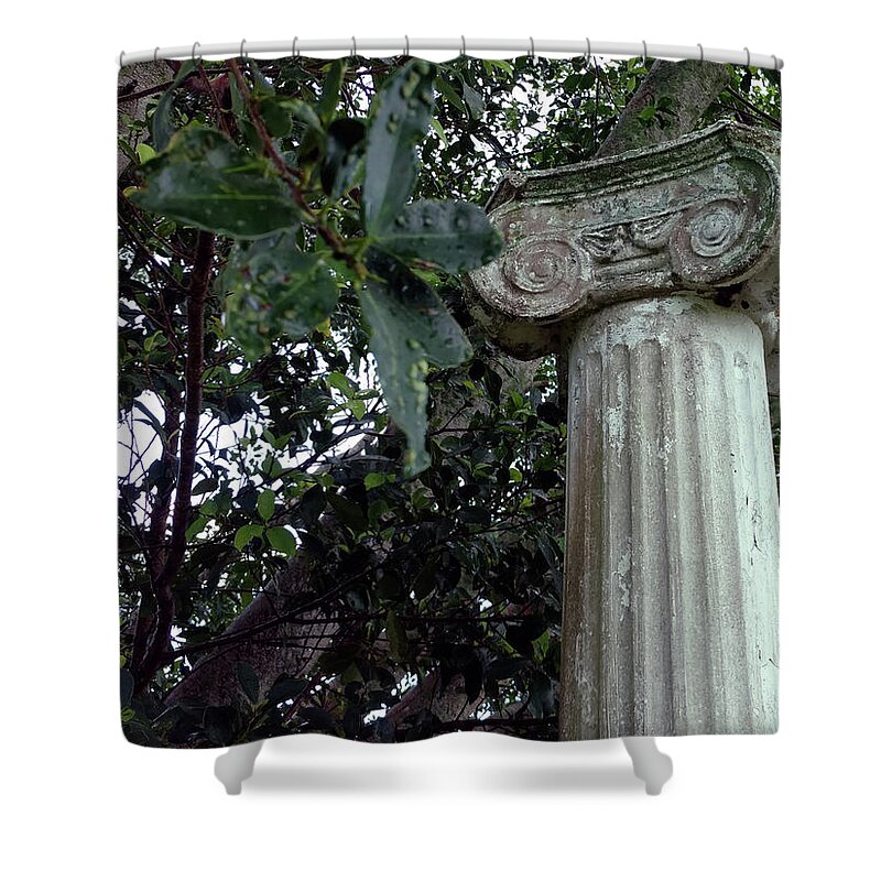 Mighty Sight Studio Shower Curtain featuring the photograph  Solitary by Steve Sperry