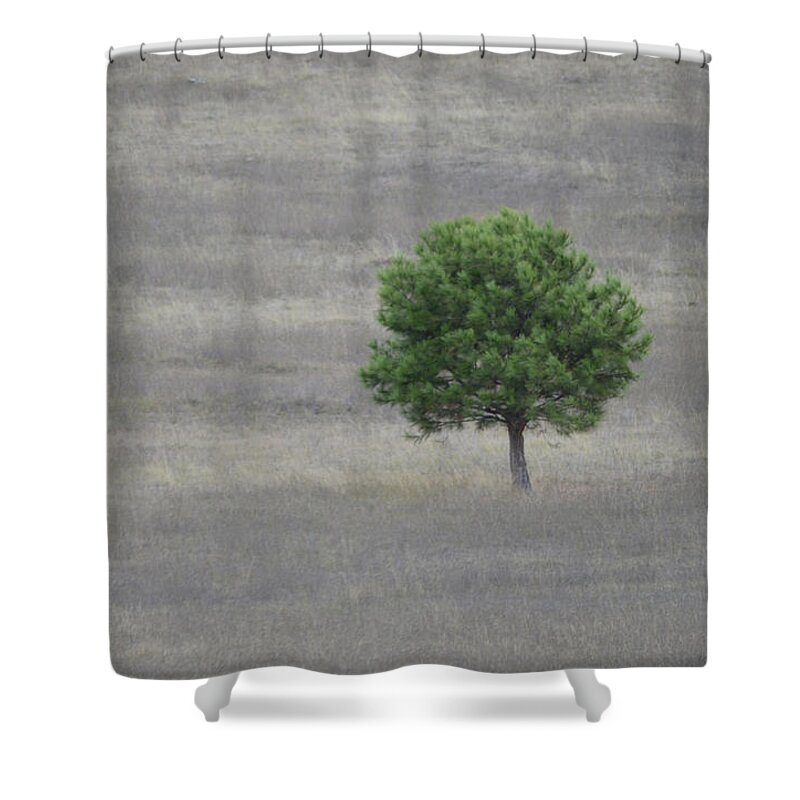 Solitary Shower Curtain featuring the photograph Solitary Tree by Whispering Peaks Photography