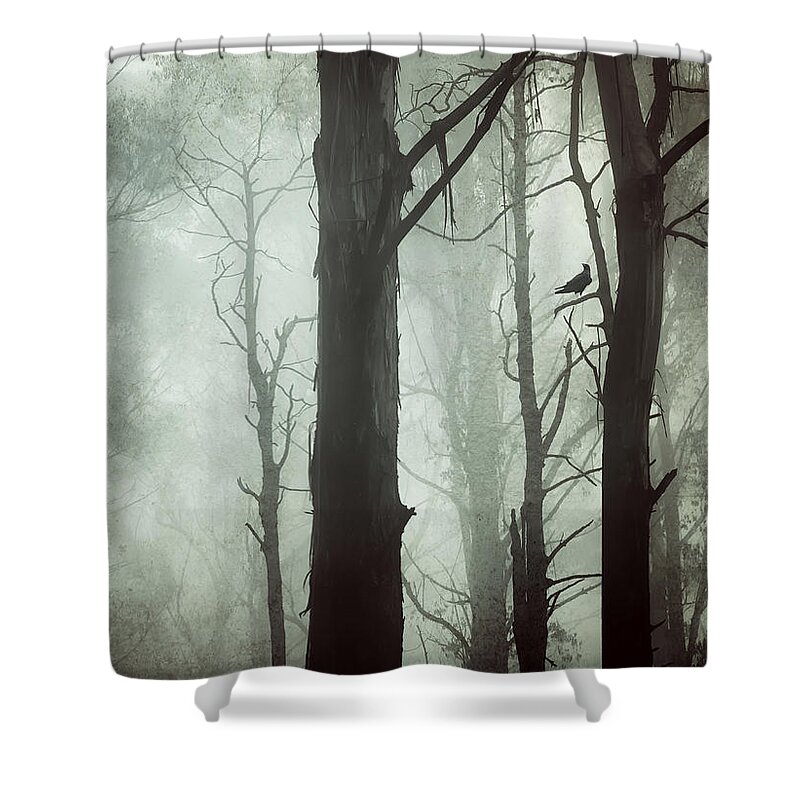 Fog Shower Curtain featuring the photograph Solitude by Amy Weiss