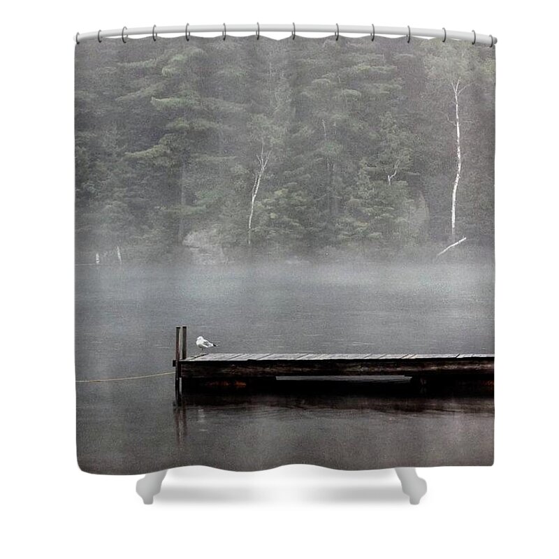 Raft Shower Curtain featuring the photograph Solitude by DArcy Evans