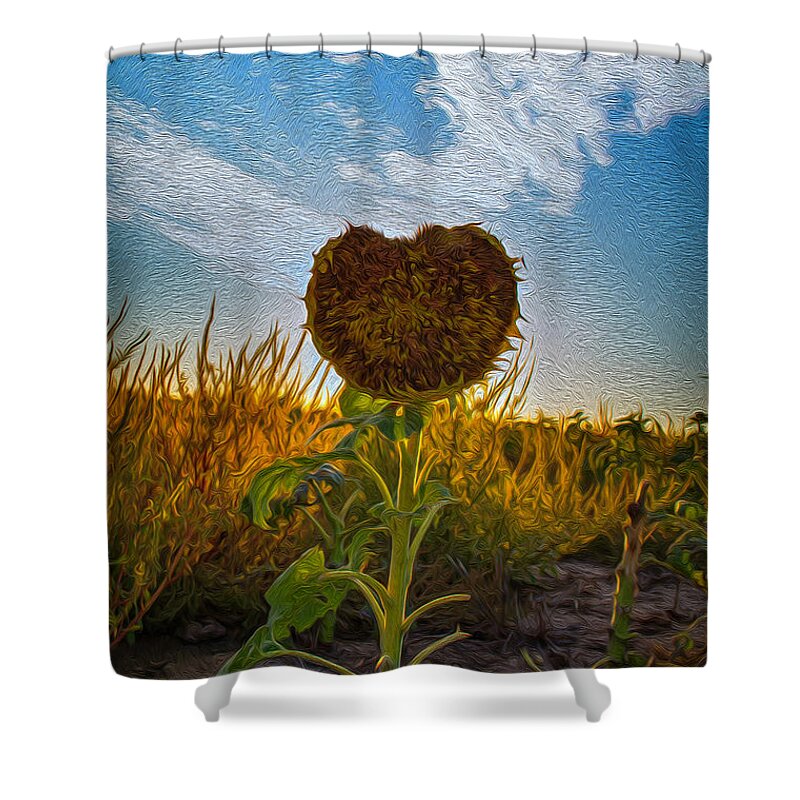 Country Shower Curtain featuring the painting Some Flower by Michael Gross