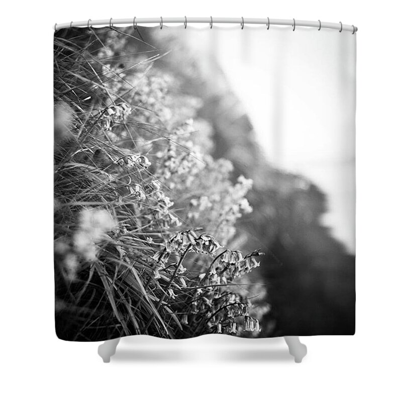  Shower Curtain featuring the photograph Sometimes Beauty Waits To Be Found In by Aleck Cartwright