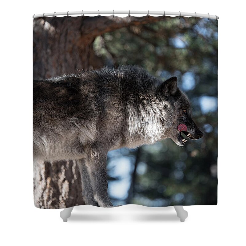 Alone Shower Curtain featuring the photograph Sometimes you have to kill by Art Atkins