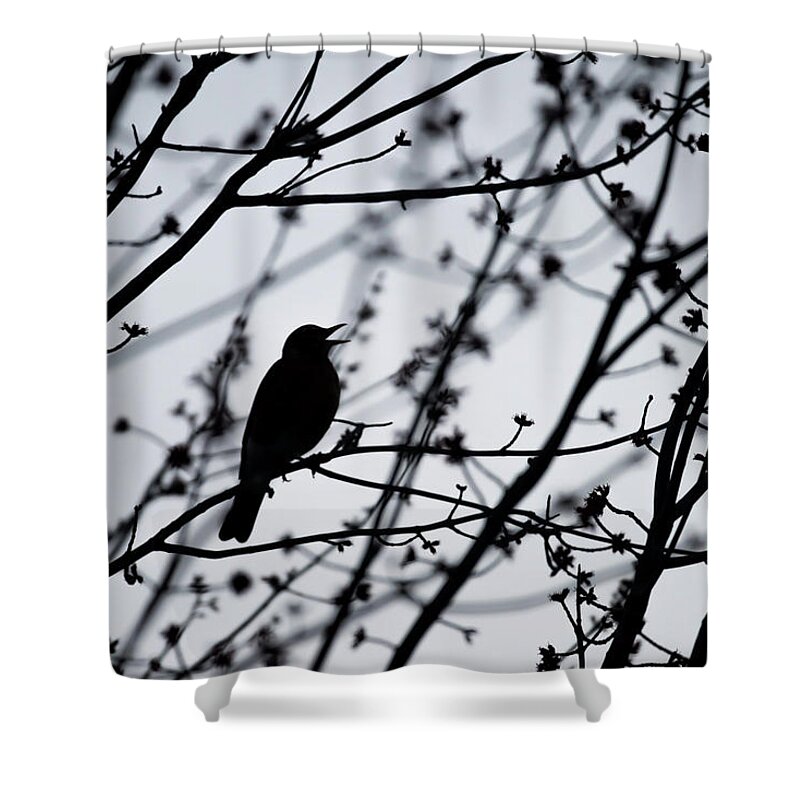 Terry D Photography Shower Curtain featuring the photograph Song Bird Silhouette by Terry DeLuco