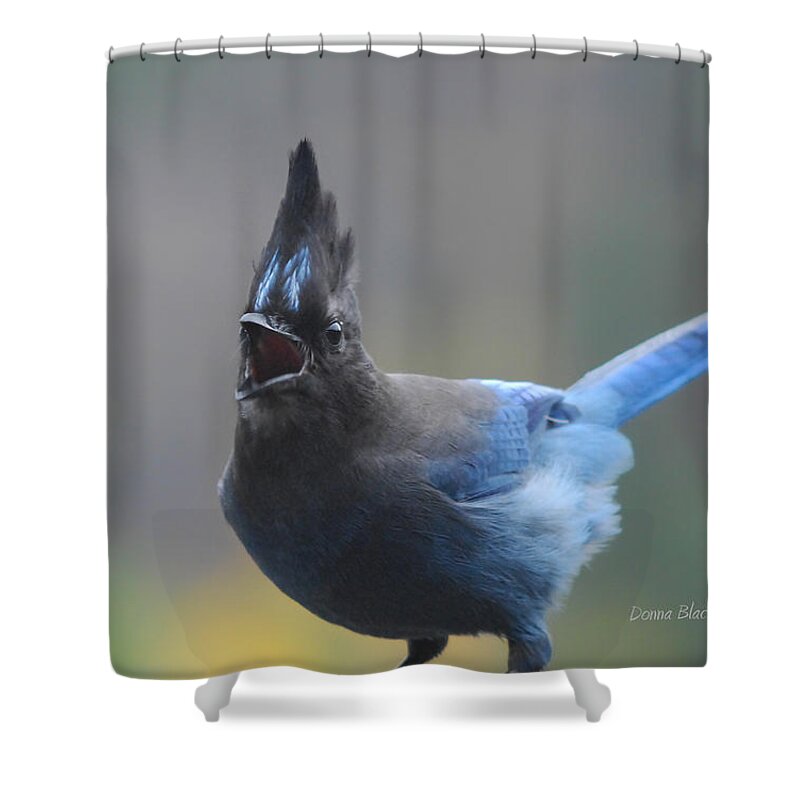 Bird Shower Curtain featuring the photograph Song From The Heart by Donna Blackhall