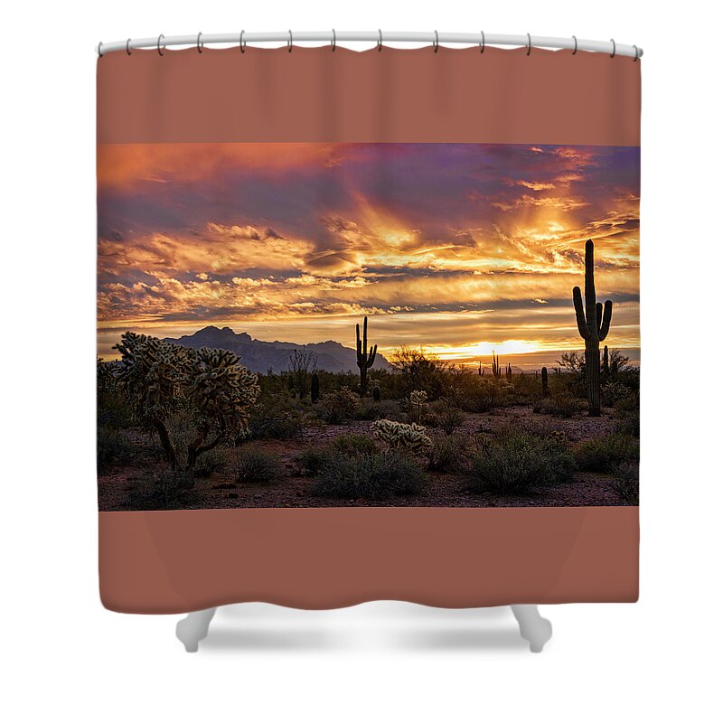 Sunrise Shower Curtain featuring the photograph Sonoran Saguaro Sunrise by Saija Lehtonen