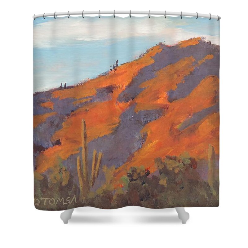Art For Sale Shower Curtain featuring the painting Sonoran Sunset - Art by Bill Tomsa by Bill Tomsa