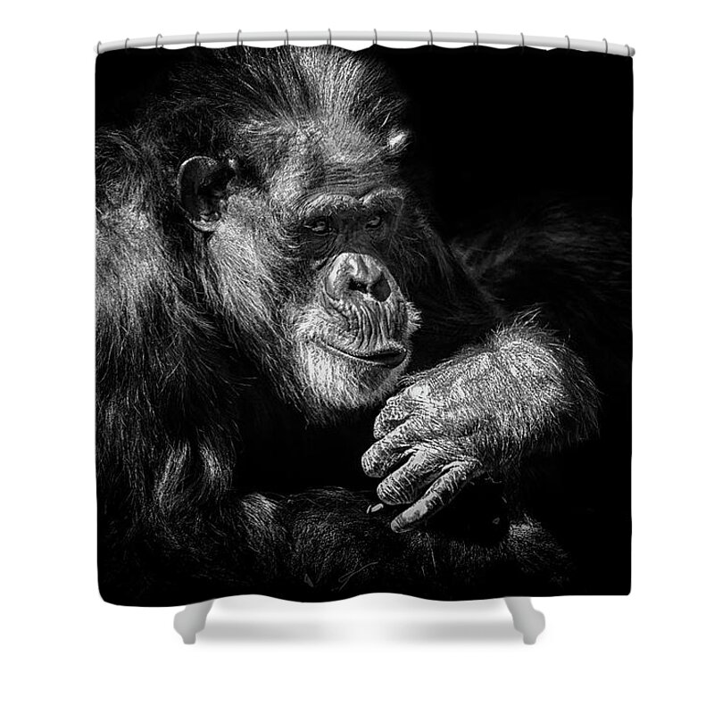 Crystal Yingling Shower Curtain featuring the photograph Sooooo by Ghostwinds Photography