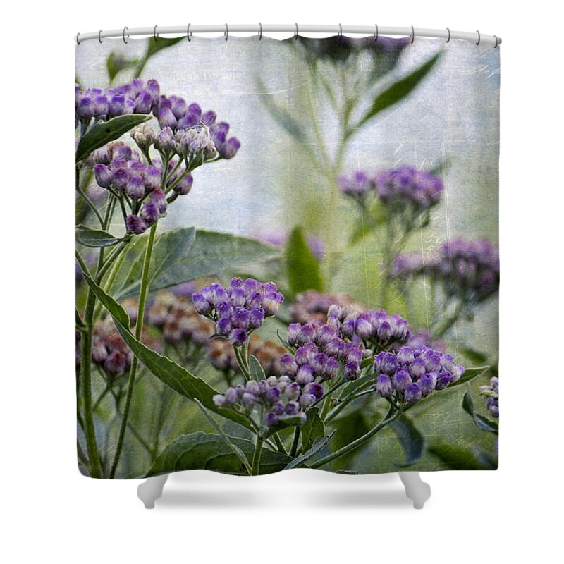 Flowers Shower Curtain featuring the photograph Sophie's Garden by HH Photography of Florida