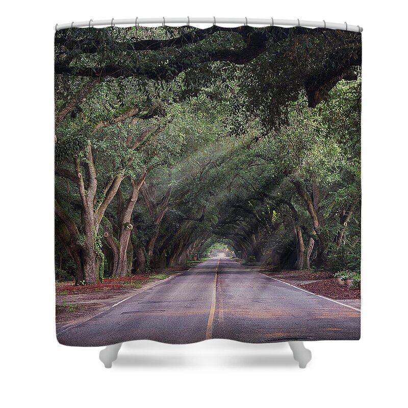Landscape Shower Curtain featuring the photograph South Boundary Sun by David Palmer
