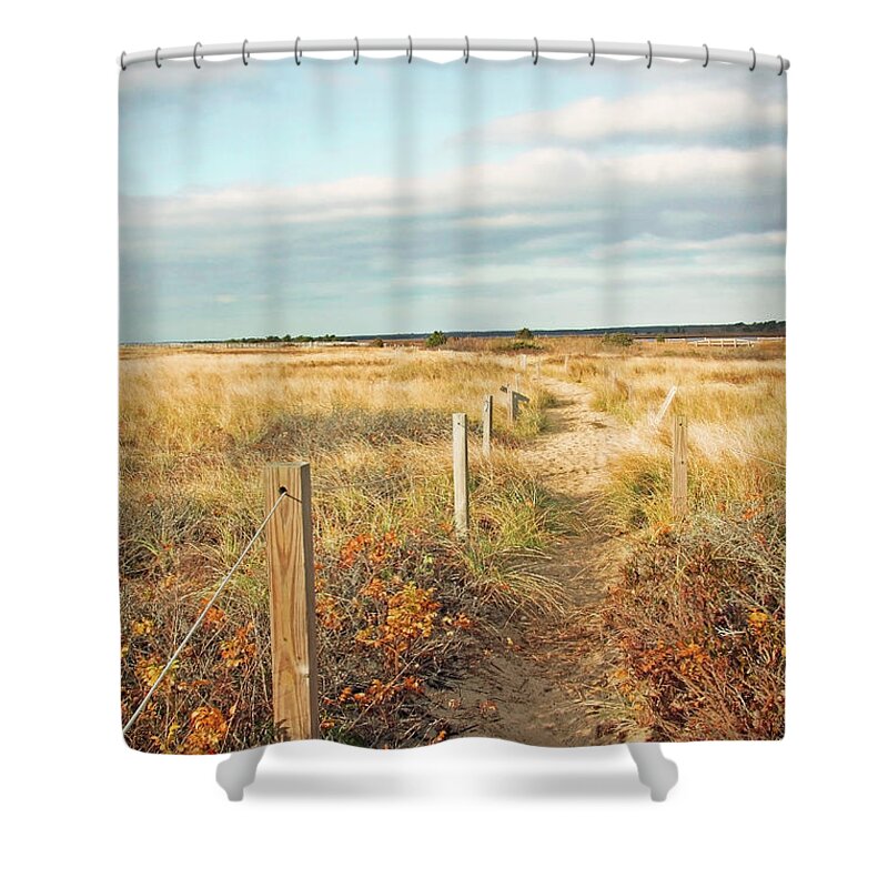 South Cape Beach Shower Curtain featuring the photograph South Cape Beach Trail by Brooke T Ryan