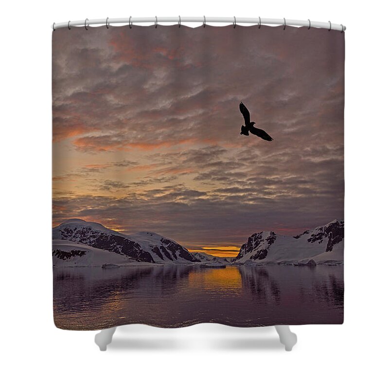 Antarctic Shower Curtain featuring the photograph South Polar Dusk by Tony Beck