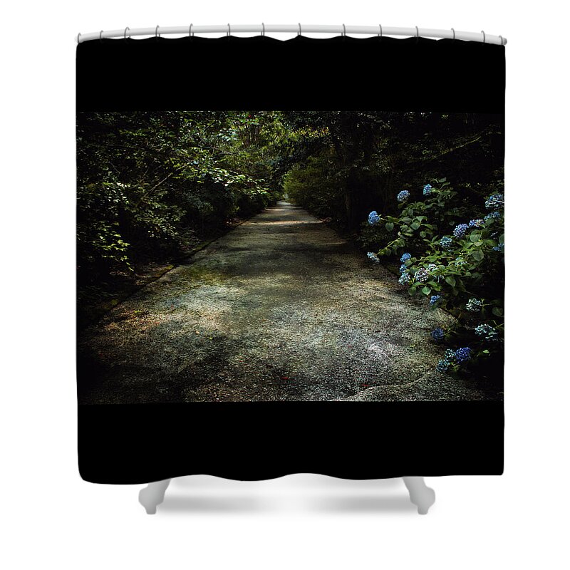 South Carolina Shower Curtain featuring the photograph Southern Blue by Jessica Brawley