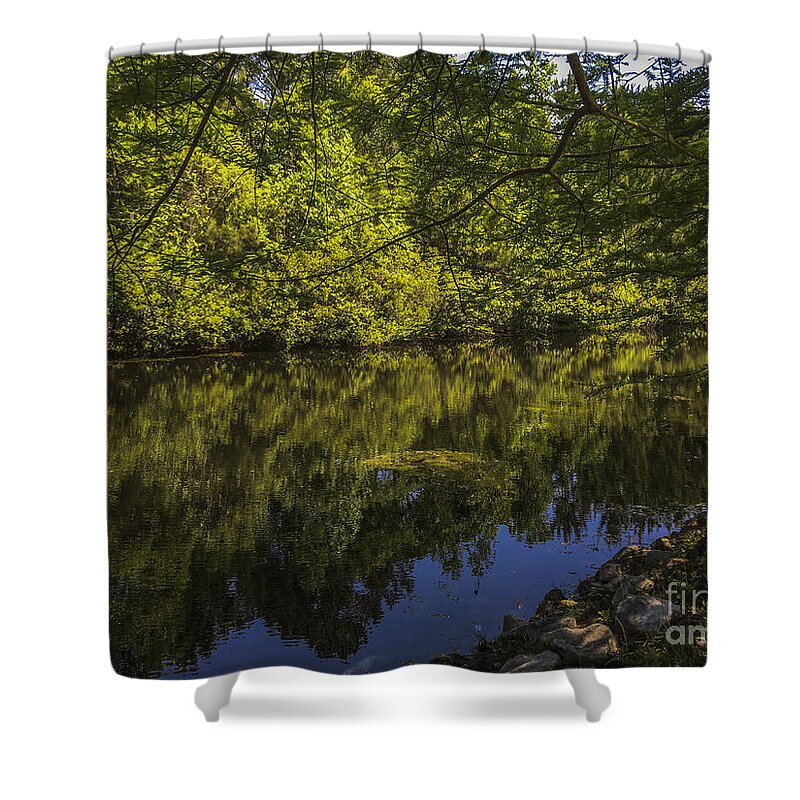 Pond Shower Curtain featuring the photograph Southern Still Waters by Dale Powell