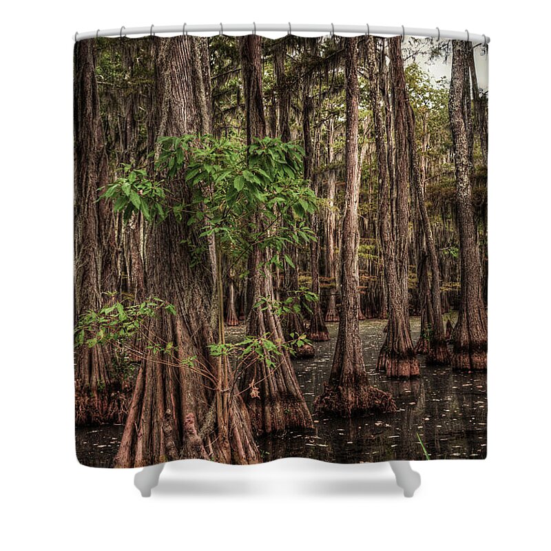 Louisiana Shower Curtain featuring the photograph Southern Swamp 2 by Ester McGuire