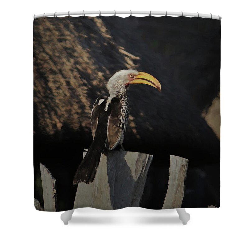 Southern Yellow-billed Hornbill Shower Curtain featuring the digital art Southern Yellow billed Hornbill by Ernest Echols