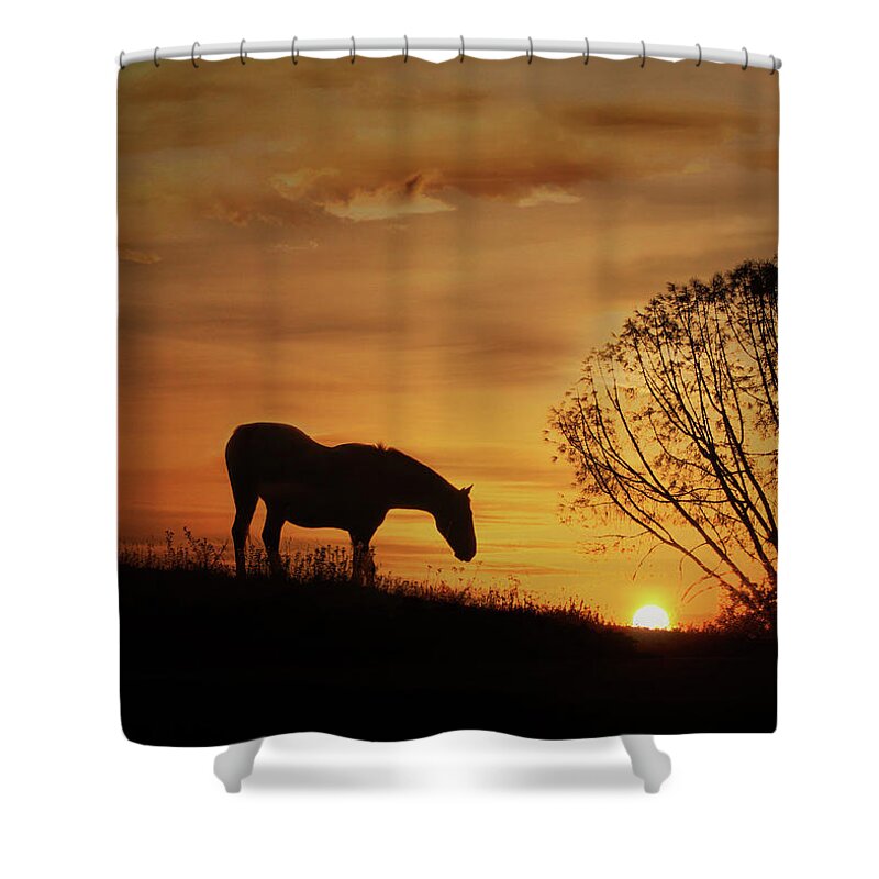 Horse Shower Curtain featuring the photograph Southwestern Horse Sunset by Stephanie Laird
