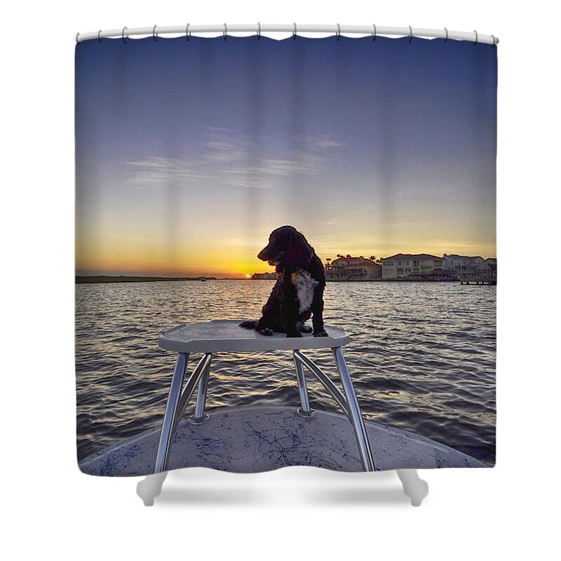 Spaniel Shower Curtain featuring the photograph Spaniel at Sunset by Kristina Deane
