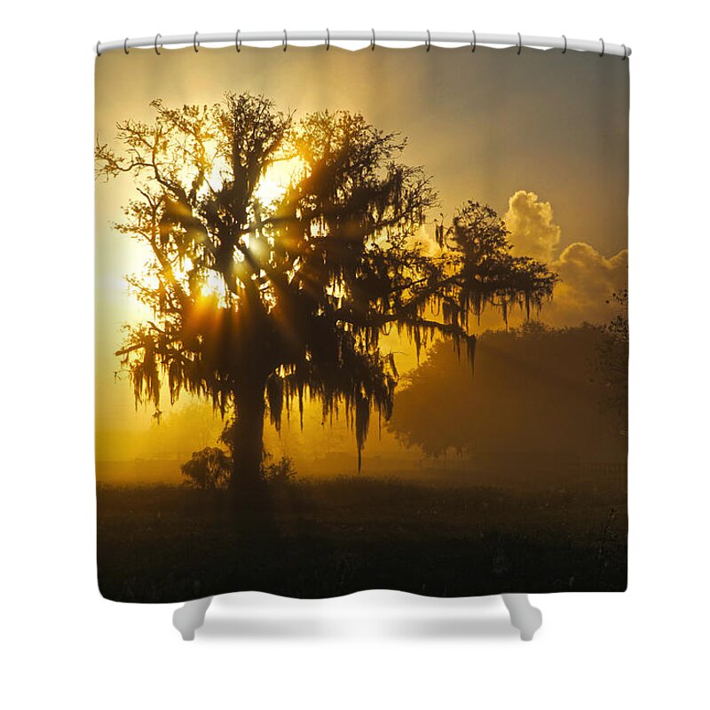 Spanish Shower Curtain featuring the photograph Spanish Morning by Robert Och