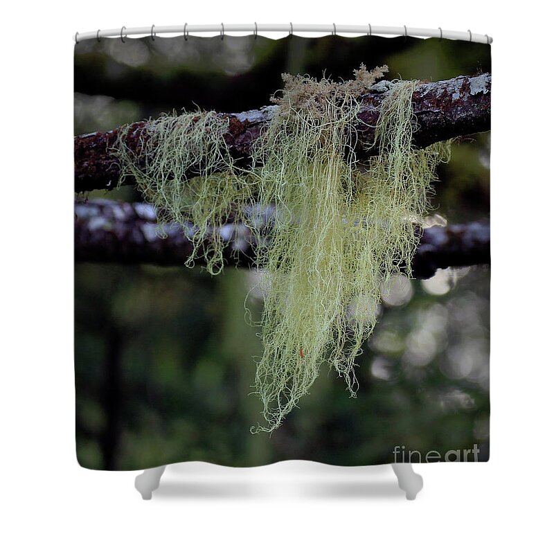 Moss Shower Curtain featuring the photograph Spanish Moss-Signed-#9513 by J L Woody Wooden