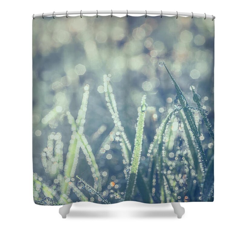 Sparkles Shower Curtain featuring the photograph Sparklets by Gene Garnace