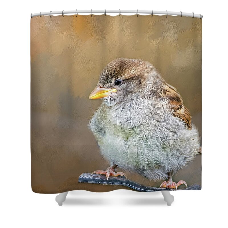 Fledgeling Shower Curtain featuring the photograph Sparrow Fledgeling by Cathy Kovarik
