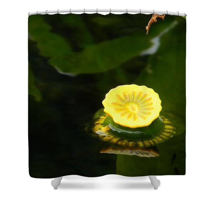 Spatterdock Reflections Shower Curtain featuring the photograph Spatterdock Reflections by Warren Thompson