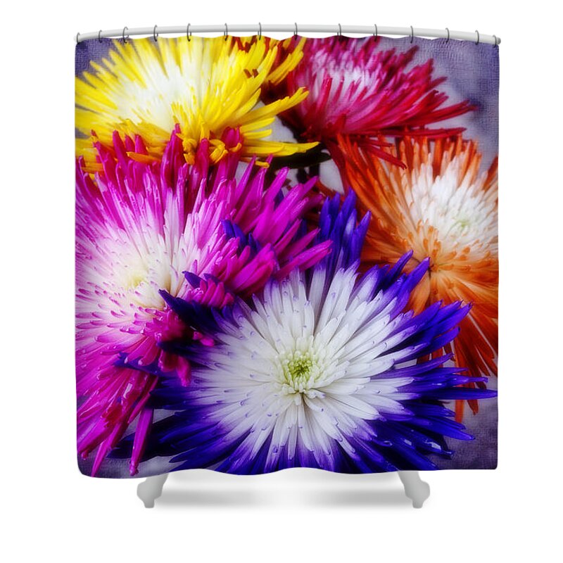 Flowers Shower Curtain featuring the photograph Spider Mums by Joan Bertucci