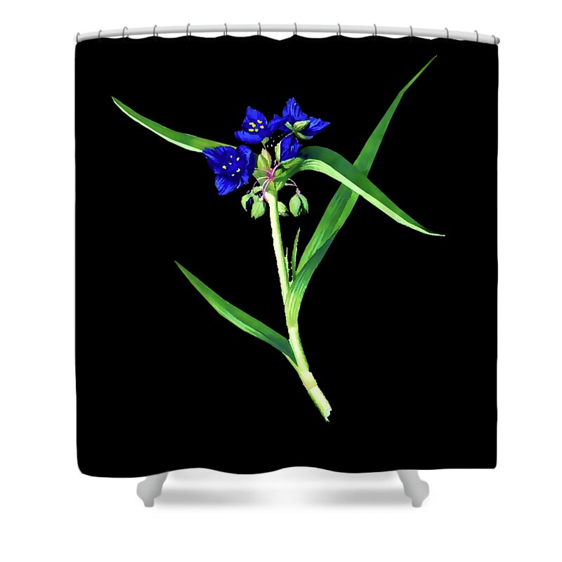 Nature Shower Curtain featuring the photograph Spider Wort by Tom Prendergast