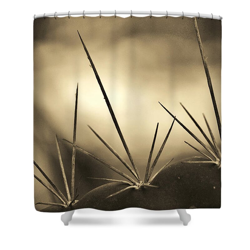 Cactus Shower Curtain featuring the photograph Spiked by Melanie Moraga