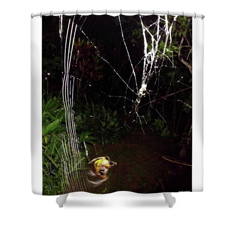 Life Shower Curtain featuring the photograph Spiner

from
animall
by
david by David Cardona