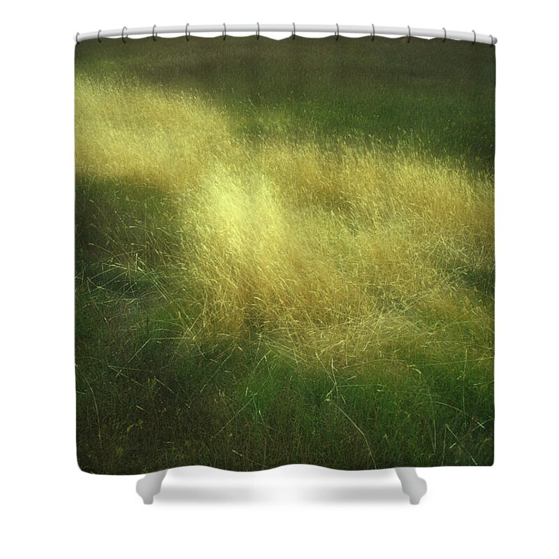 Abstract Shower Curtain featuring the photograph Spirit Grass by Irwin Barrett