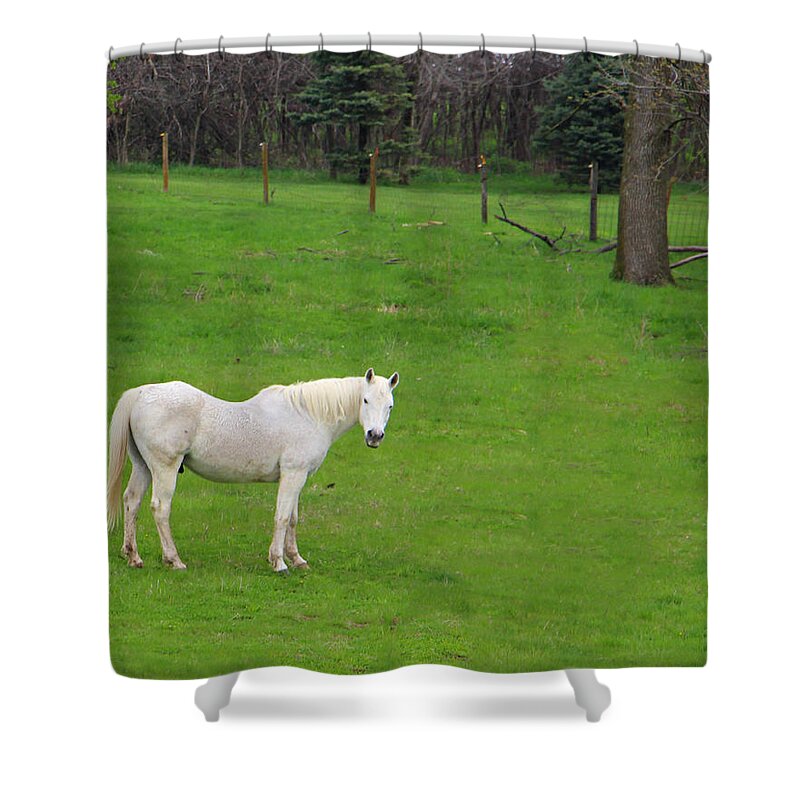 White Horse Shower Curtain featuring the photograph Spirit Horse by Kathy M Krause
