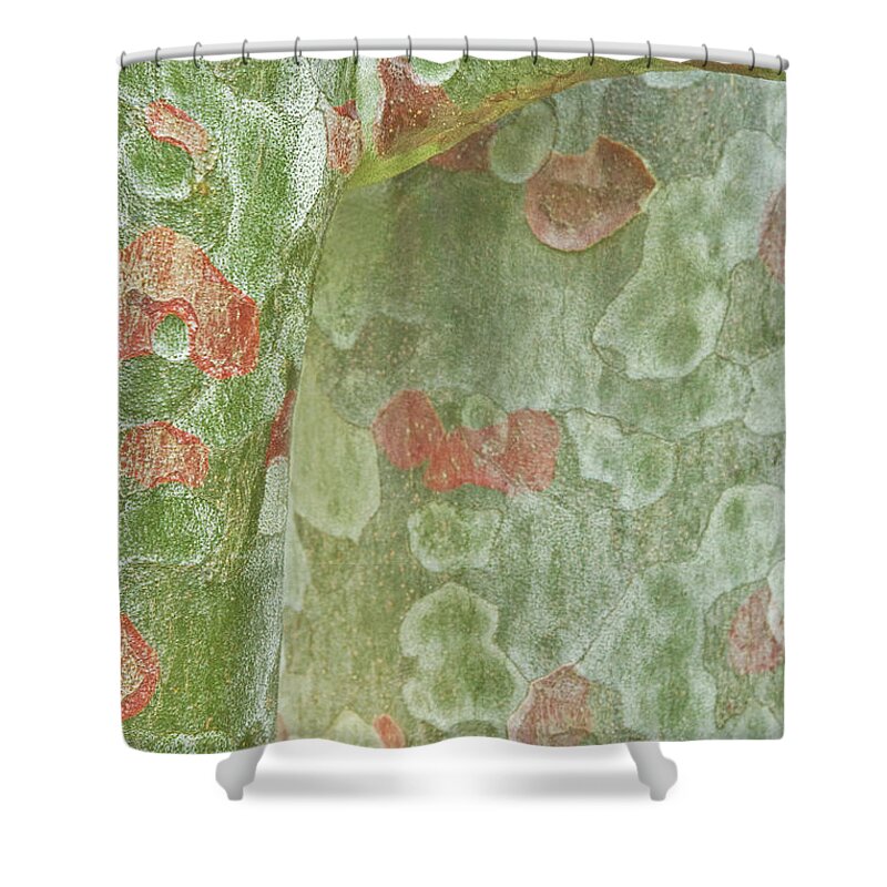 Trees Shower Curtain featuring the photograph Spirit of the Trees by Marilyn Cornwell