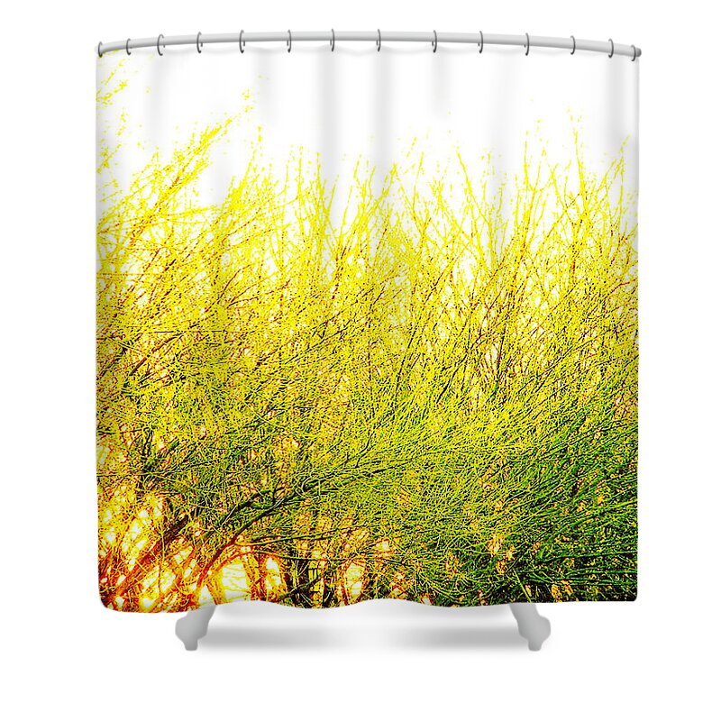 Splatter Shower Curtain featuring the photograph Yellow Splatter by M Pace