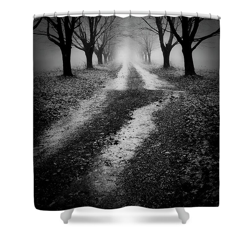 Spooky Shower Curtain featuring the photograph Spooky Way by Jeff Cooper
