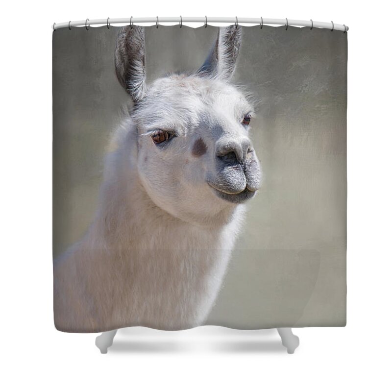 Llama Shower Curtain featuring the photograph Spot by Robin-Lee Vieira