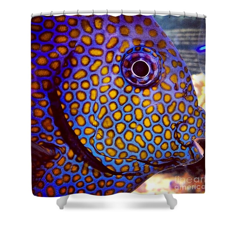 Fish Shower Curtain featuring the photograph Spots Galore by Denise Railey