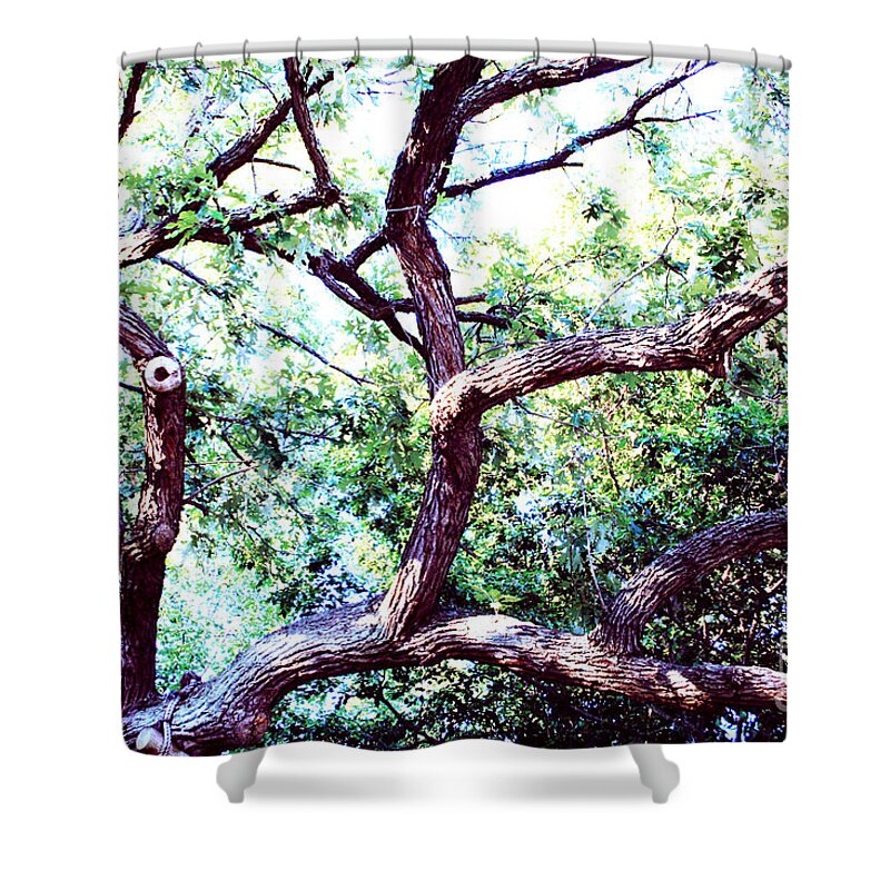 Tree Shower Curtain featuring the photograph Sprawling by JamieLynn Warber