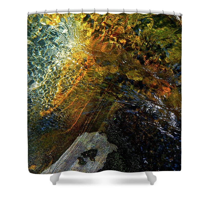 Color Close-up Landscape Shower Curtain featuring the photograph Spring 2017 130 by George Ramos