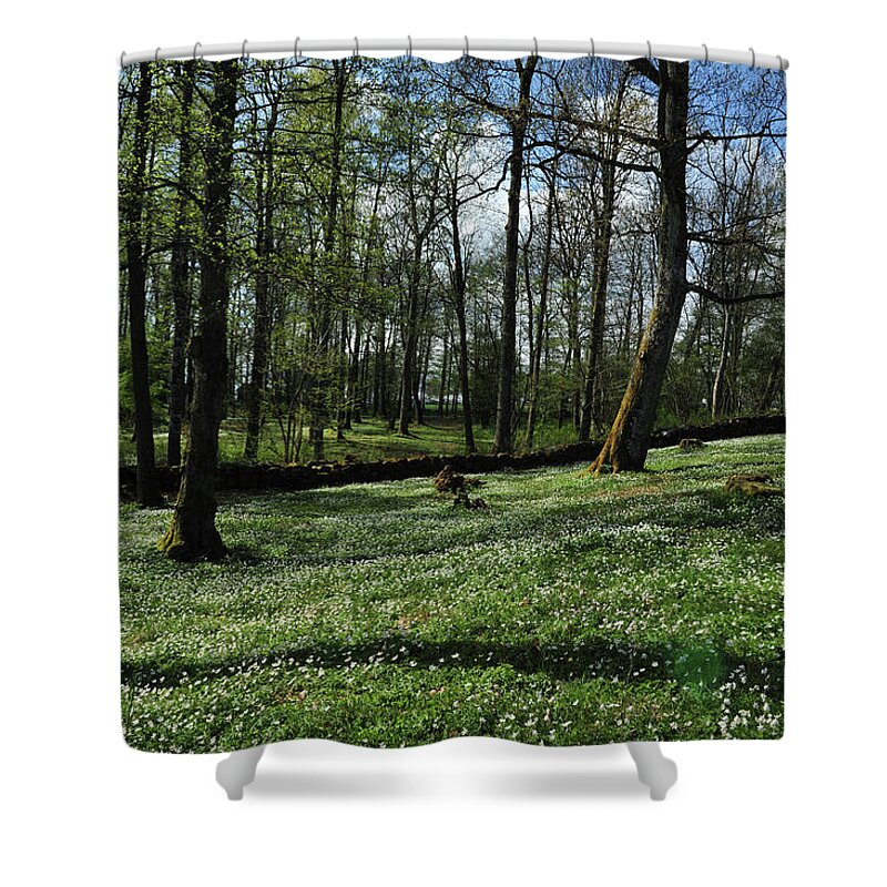 Viking Shower Curtain featuring the photograph Spring All Over by Randi Grace Nilsberg