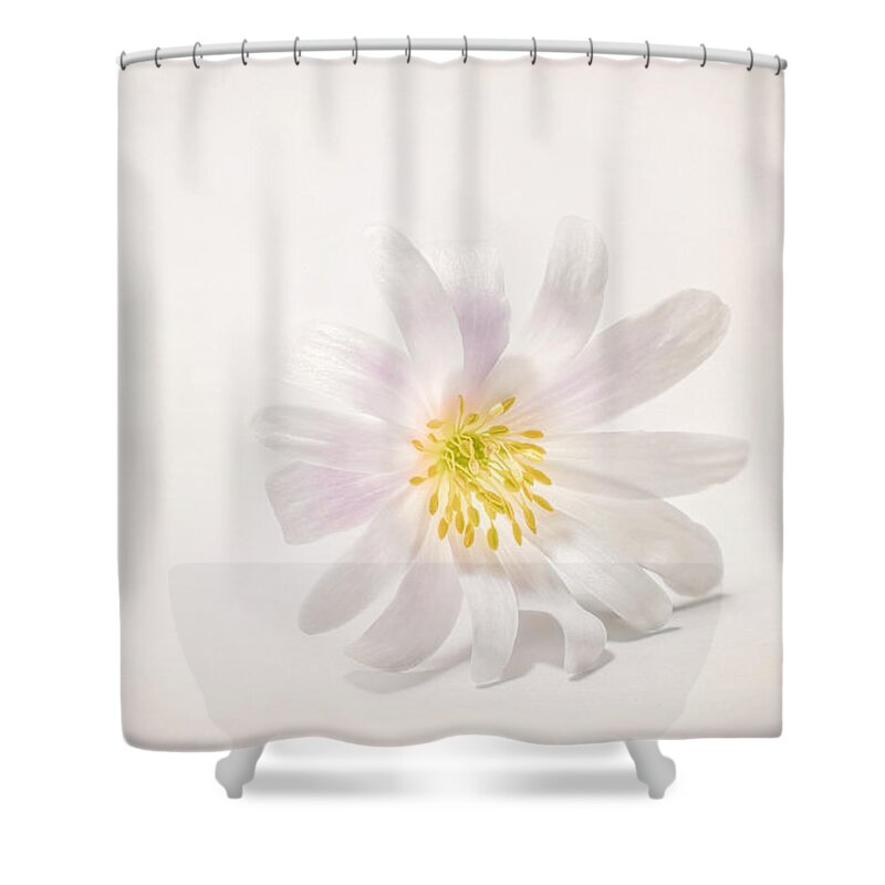 Blossom Shower Curtain featuring the photograph Spring Blossom by Scott Norris