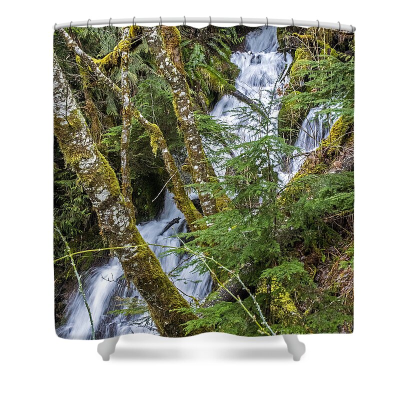 Streams Shower Curtain featuring the photograph Spring Cascade by Chuck Flewelling