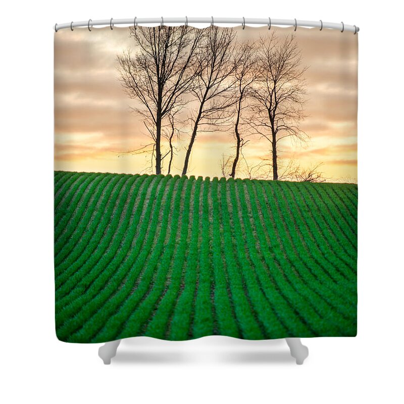 Rural Shower Curtain featuring the photograph Spring Corn Rows of the Midwest by Matt Hammerstein